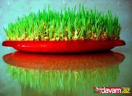 20.03.2014. -  Novruz bayramı millətlərarası dostluğu gücləndirir (VİDEO)
